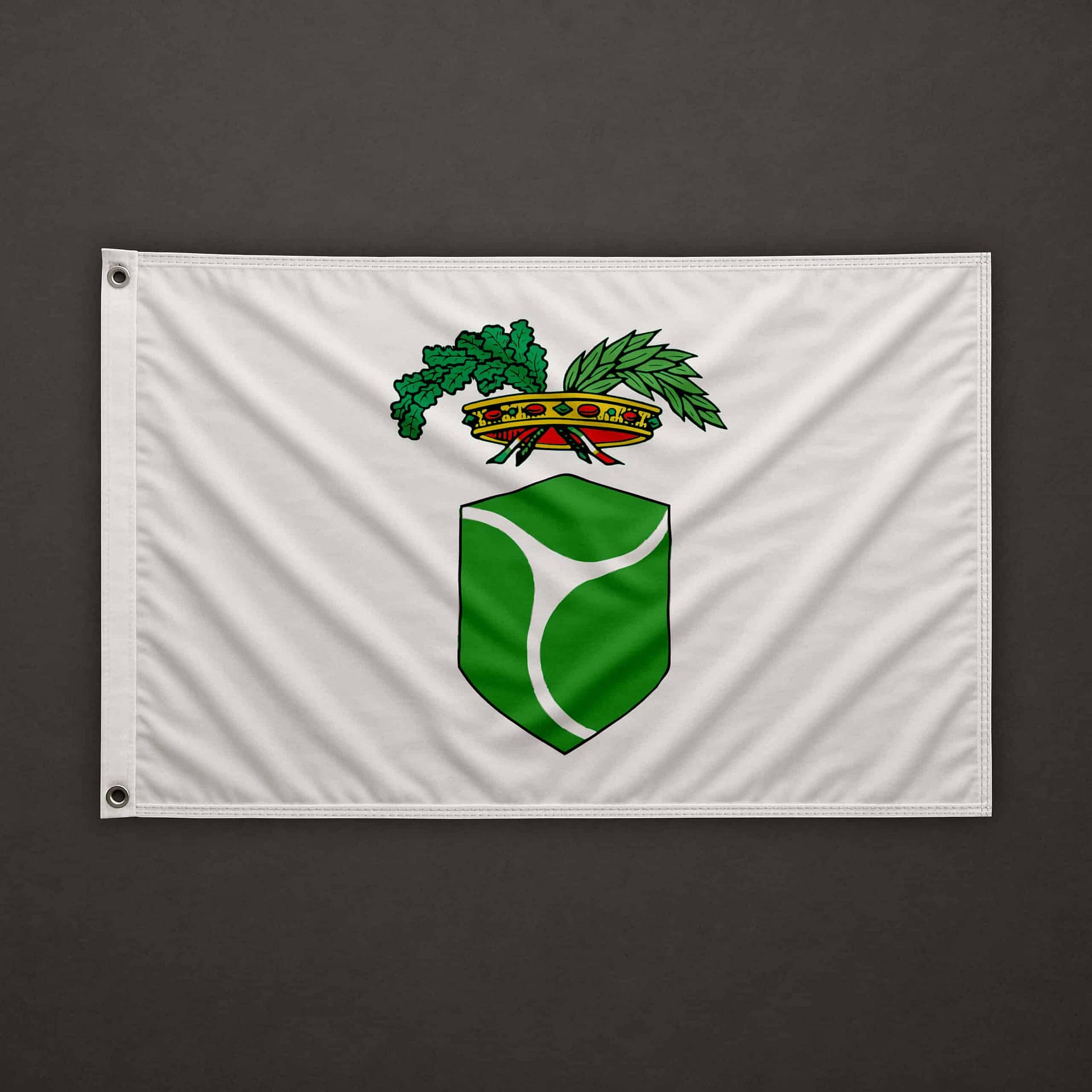 National Association of Italian Partisans - ANPI Flag 1 National Association of Italian Partisans - ANPI Flag