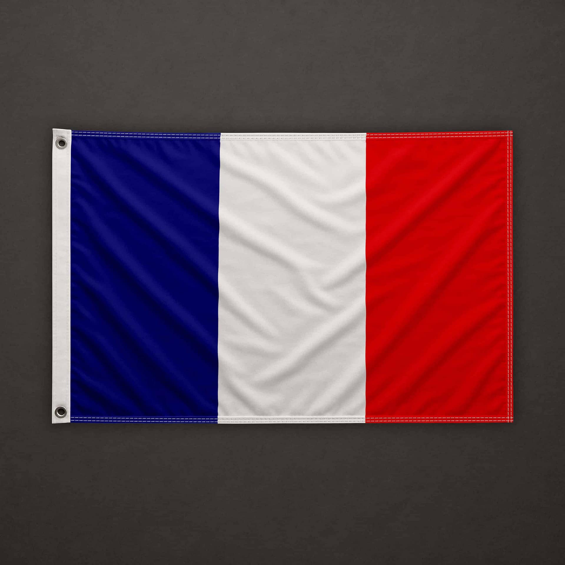 Bandiera della Francia