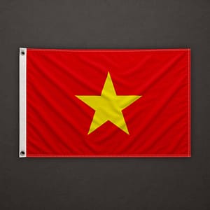 Portfolio 6 VNM vietnam flag scaled
