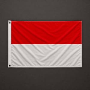 Bandera de Soleura