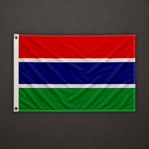 Bandera de Gambia