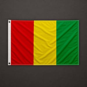 Bandiera della Guinea